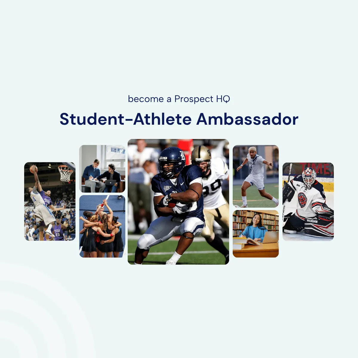 What Is the Prospect HQ Ambassador Program? Everything You Need to Know