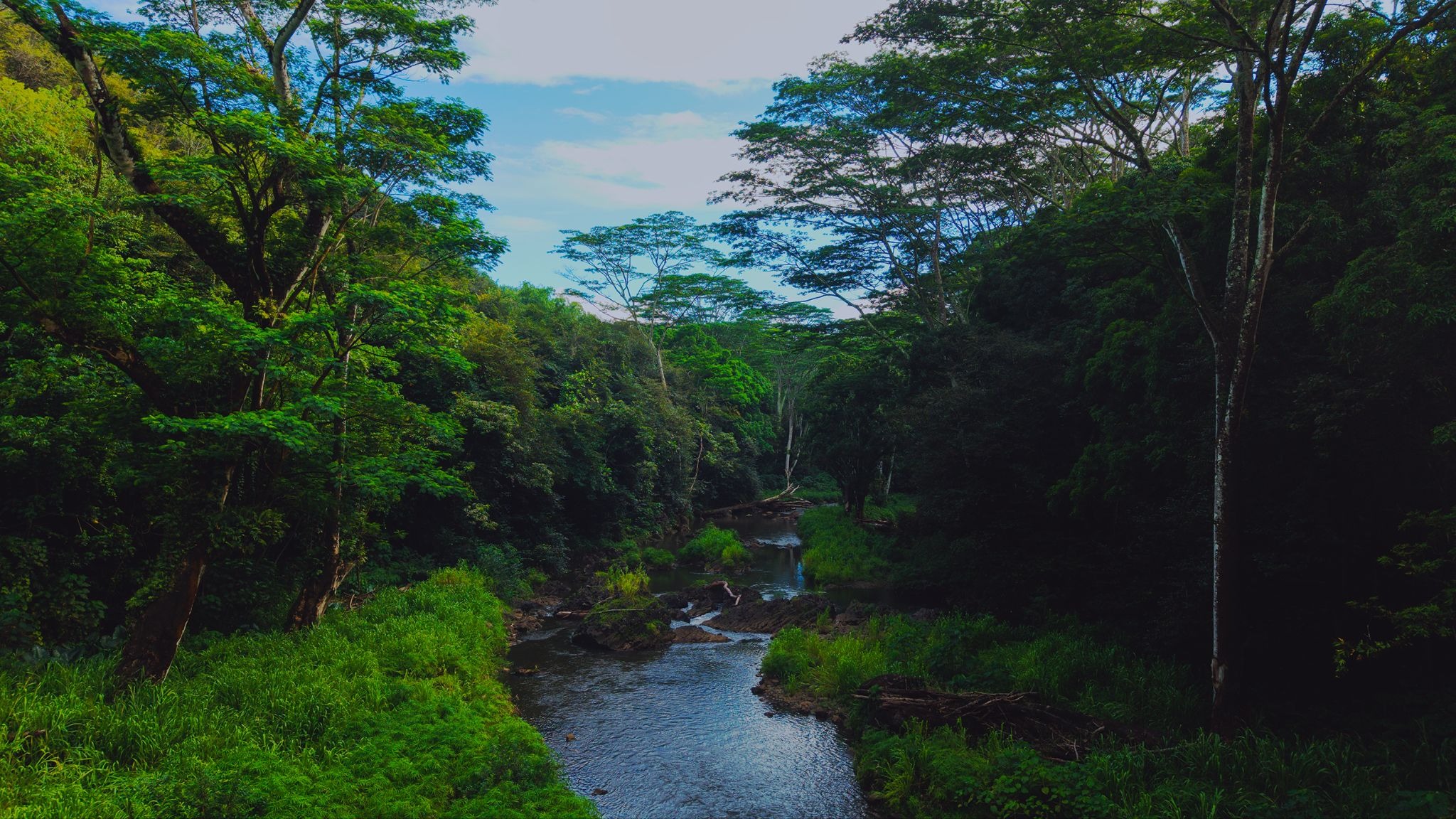 View of the Wailua River
