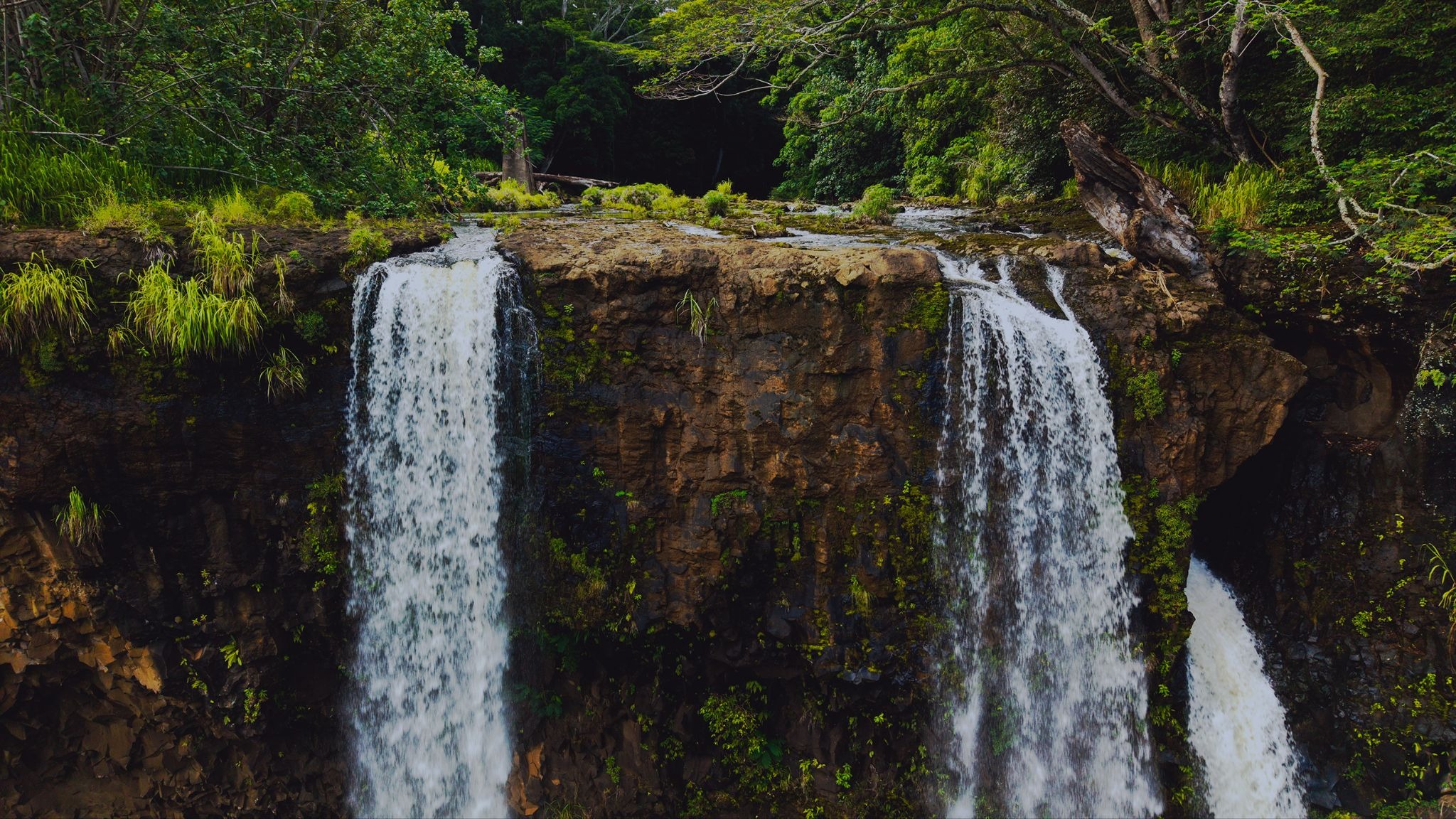 A picture of the wailua river falls
