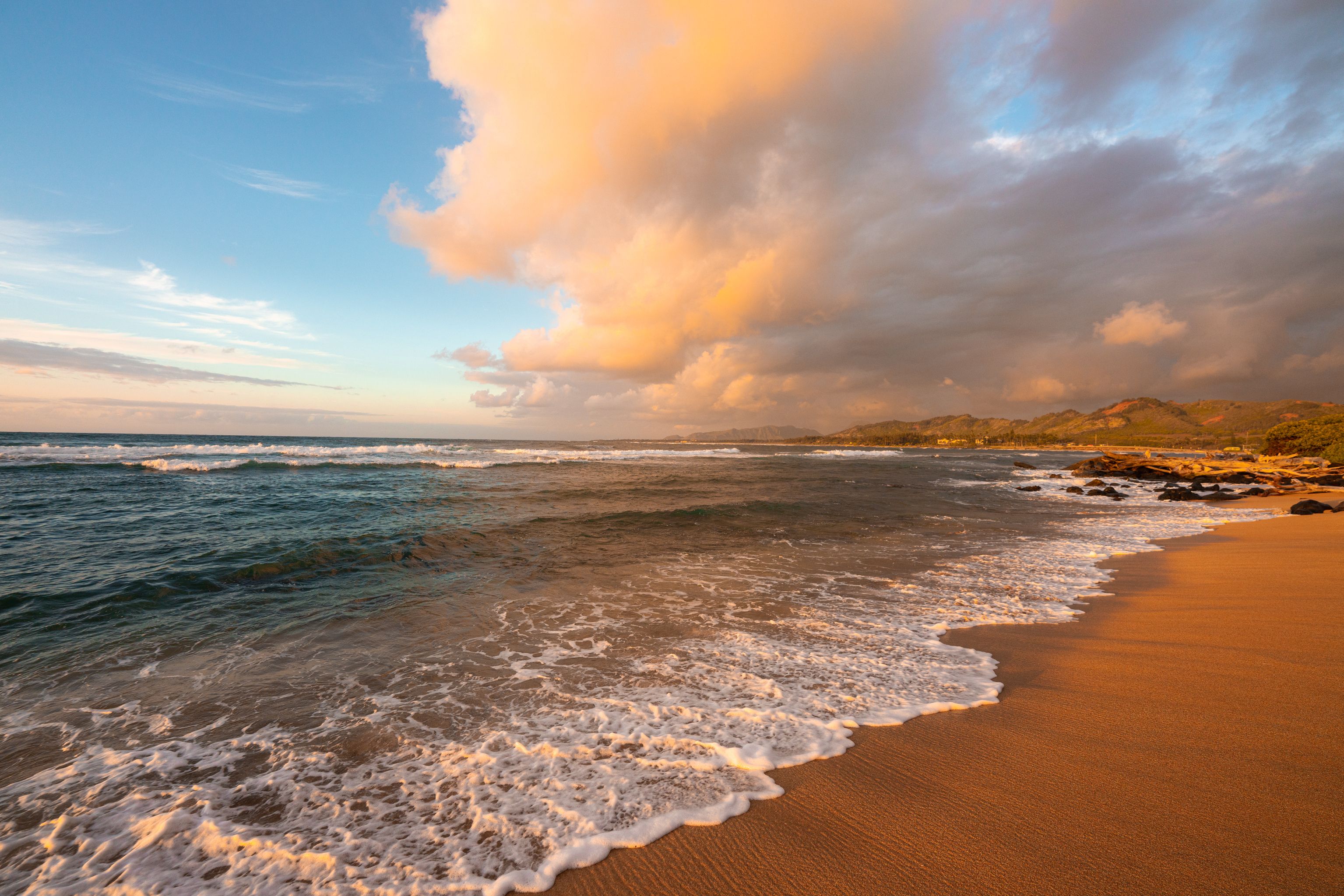 A view of the Royal Coconut Coast