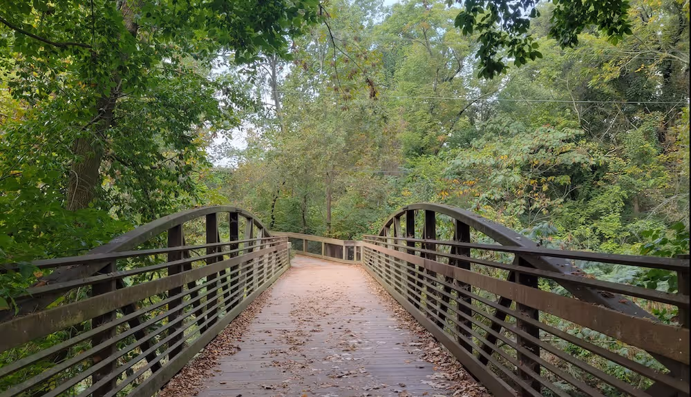 Wooden pedestrian bridge with metal railings crossing a forested area with green trees.