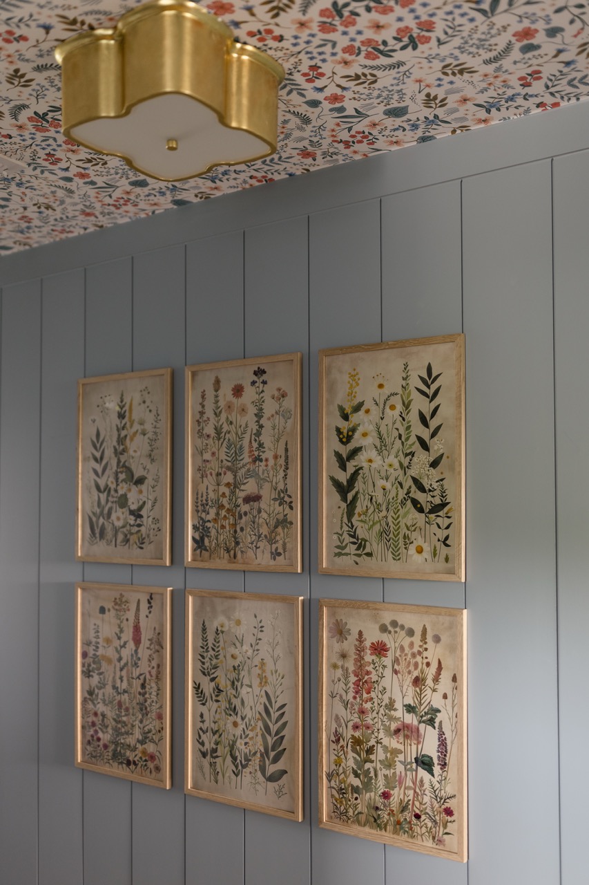 Framed artwork, The Geny suite