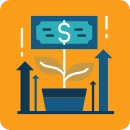 A money plant growing in a pot