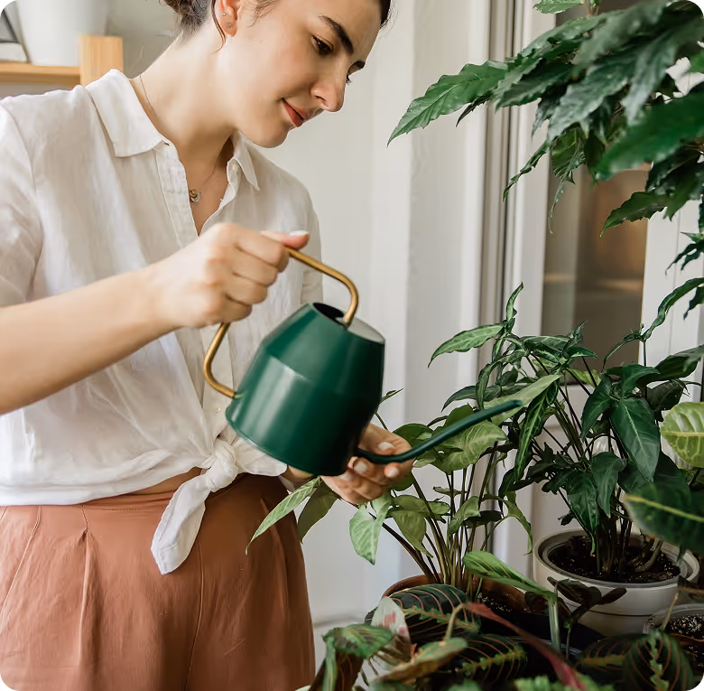 A woman watering a plant with a green watering can.