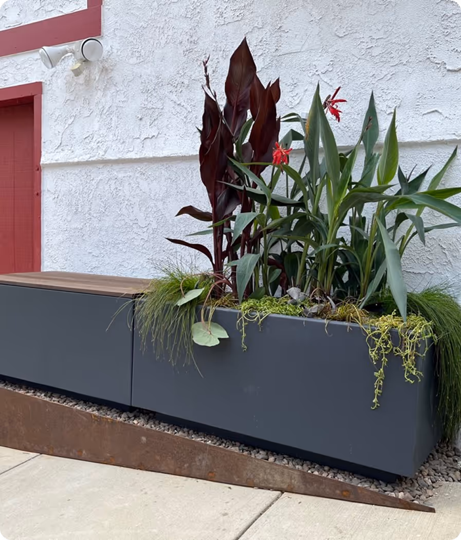 A planter filled with lots of plants next to a red door.