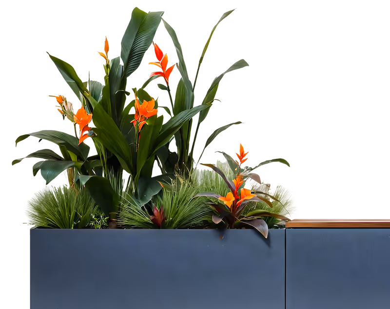 A blue planter filled with lots of green plants.