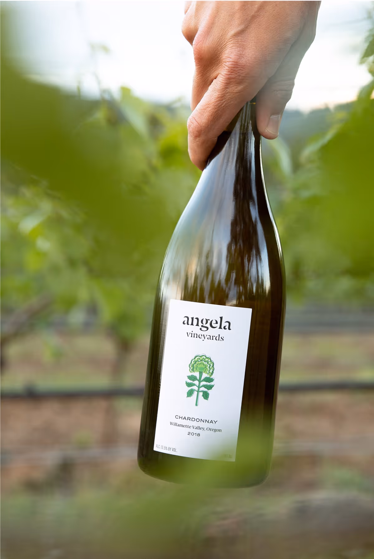 A hand holding a bottle of wine.