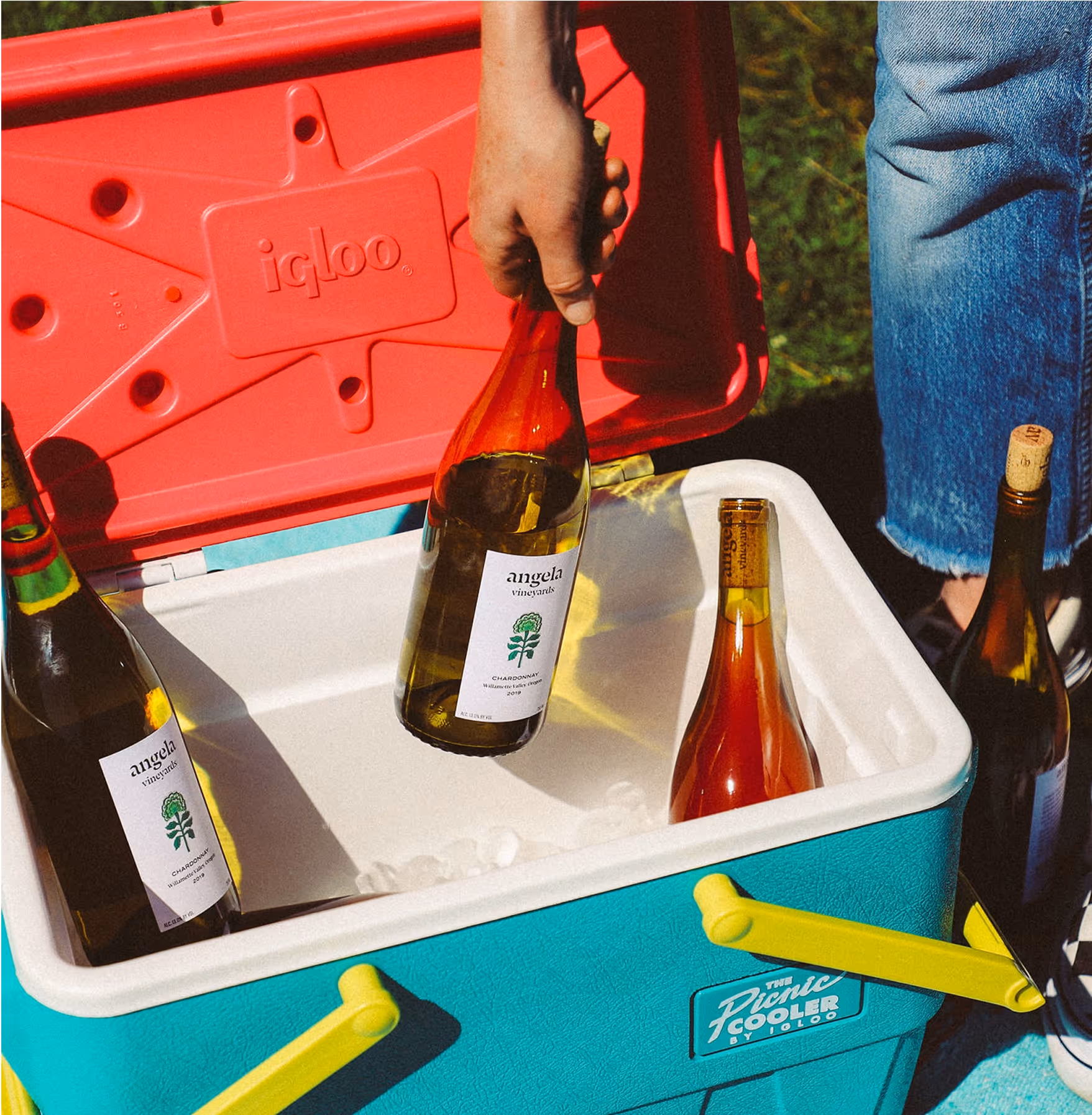 A person places a bottle of wine into a teal and white cooler filled with ice. Three more wine bottles are inside the cooler, which has a pink lid and yellow handles. The person is wearing blue jeans.
