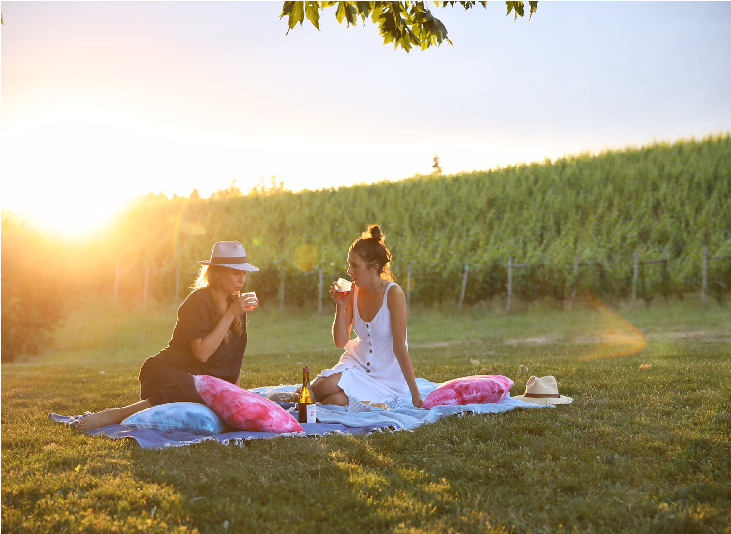 Two women sit on a blanket having a picnic in a vineyard at sunset, each holding a drink. Colorful pillows, a wine bottle, and hats are on the grass, with sunlit grapevines in the background.