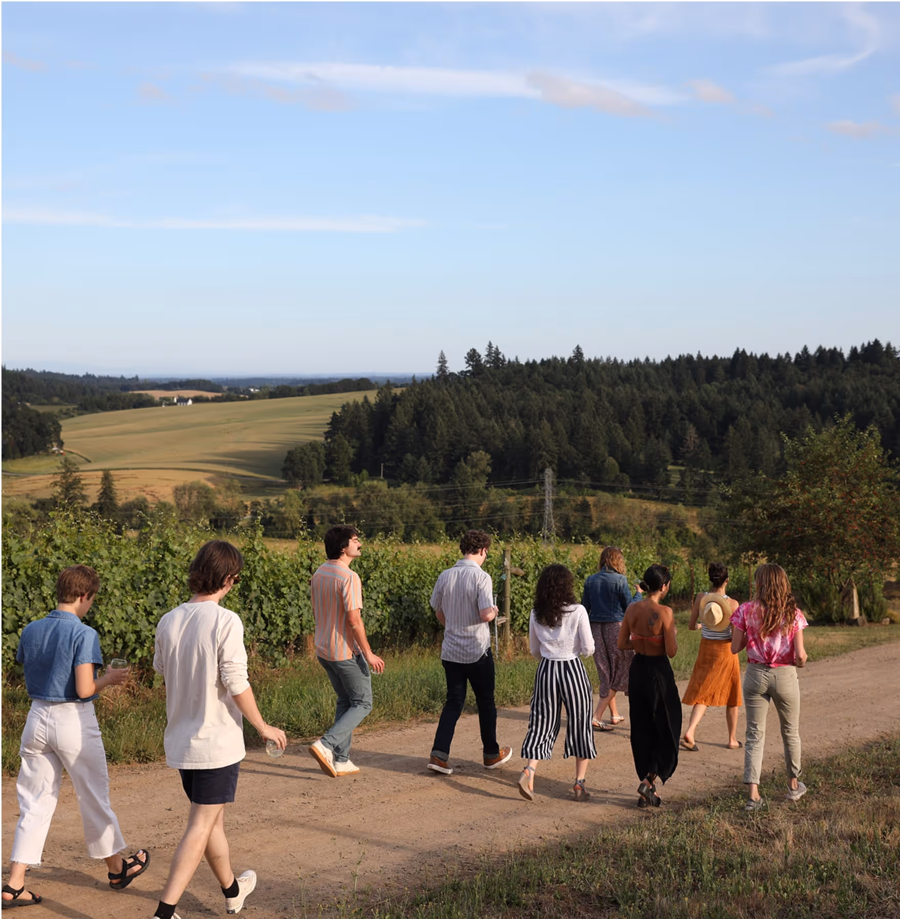 A group of people walk together along a dirt path through vineyards and open fields, surrounded by trees and farmland under a blue sky with wispy clouds.