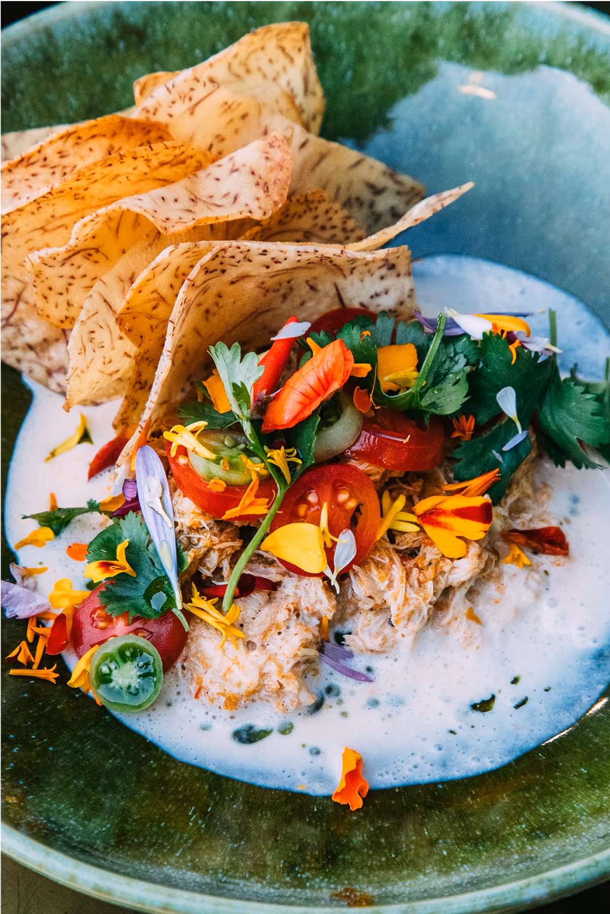 A vibrant dish with shredded meat in a creamy sauce, topped with cherry tomatoes, fresh herbs, and edible flowers, served with crispy, speckled chips on a green ceramic plate.