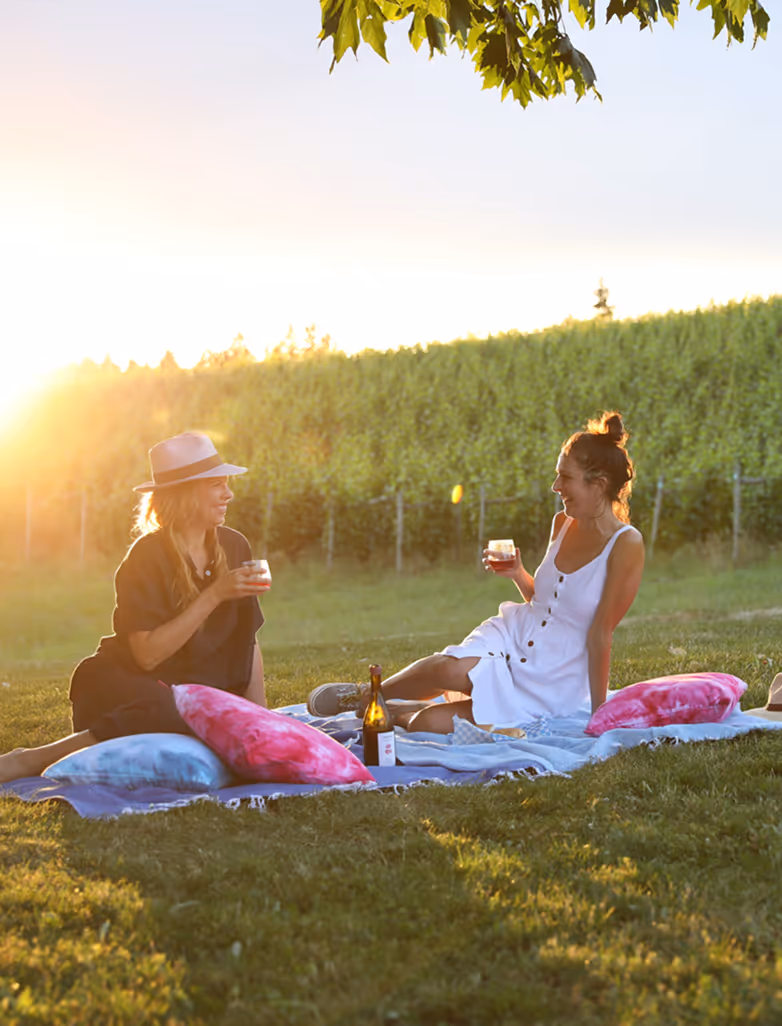 Two women sitting on a blanket with colorful pillows, enjoying drinks during a sunny vineyard picnic.