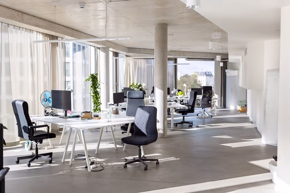 Bright, modern open-plan office with white desks, black swivel chairs, large windows, and plants.