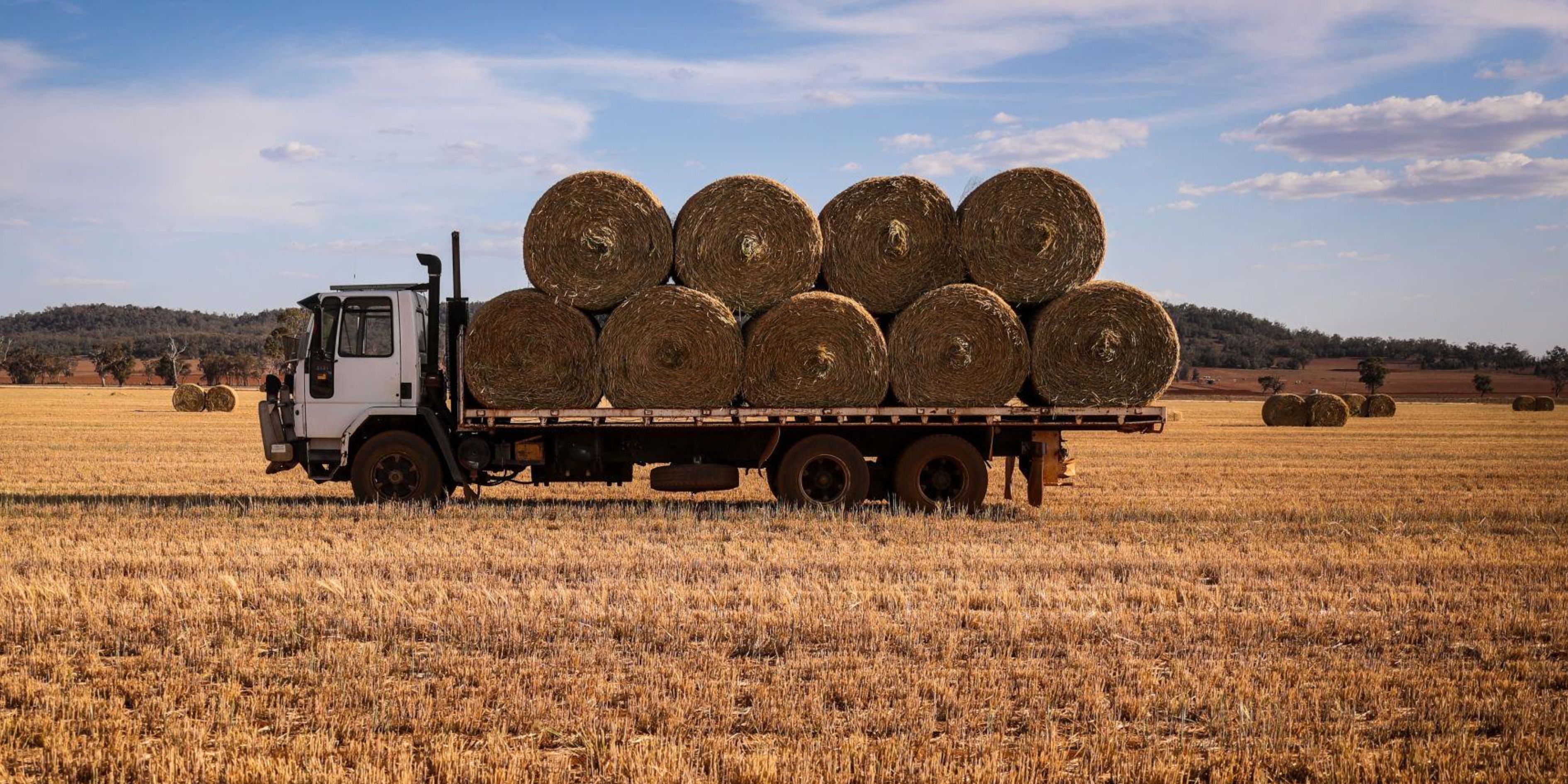 Hay bales loaded on a truck in a field
