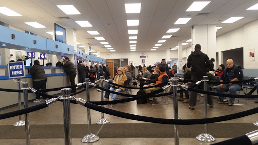 Illinois DMV
