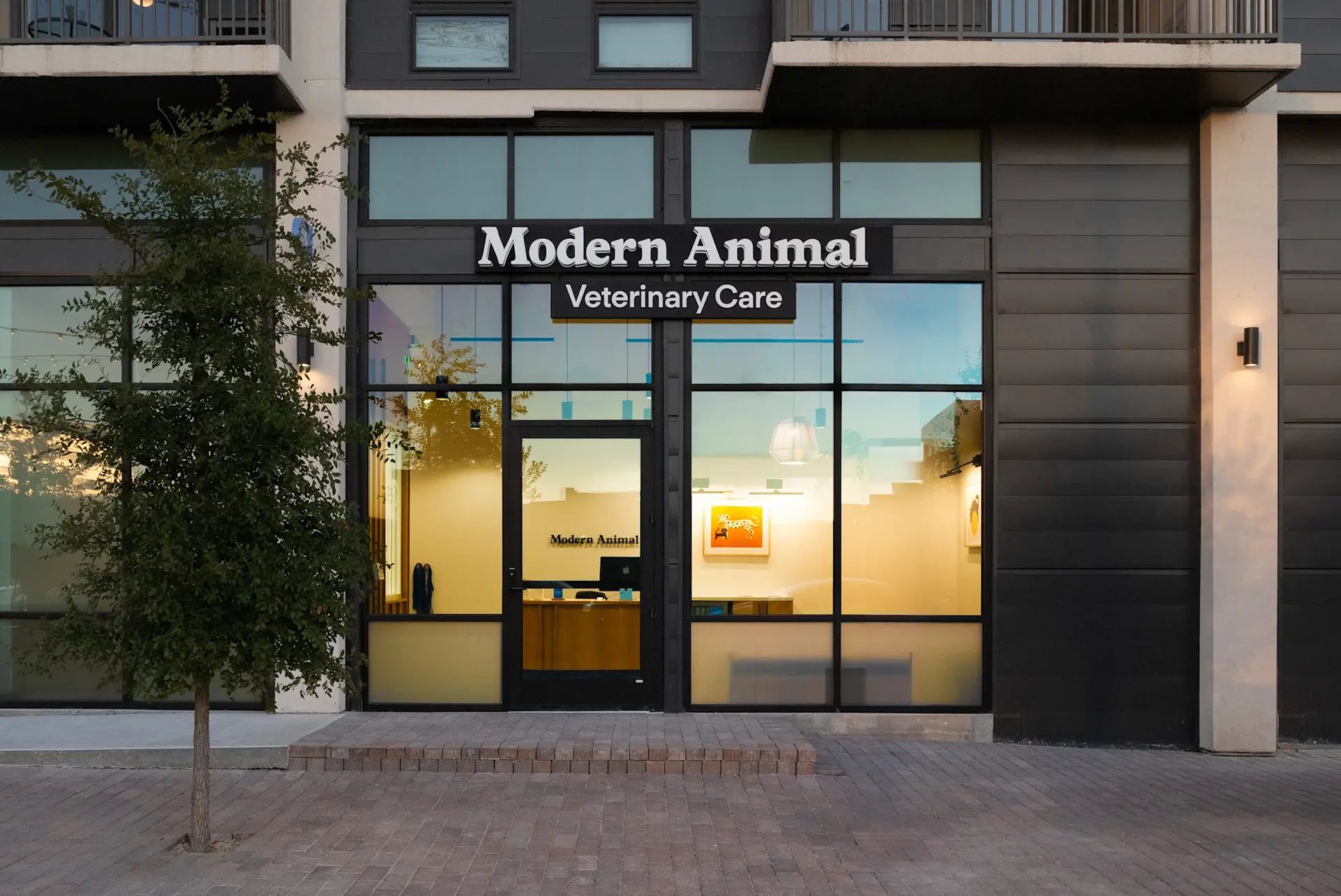 Modern Animal