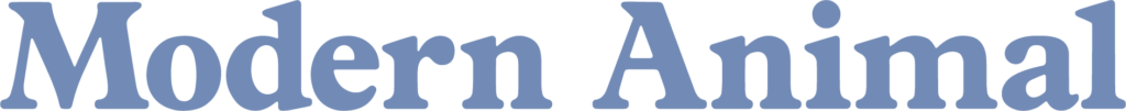 Modern Animal