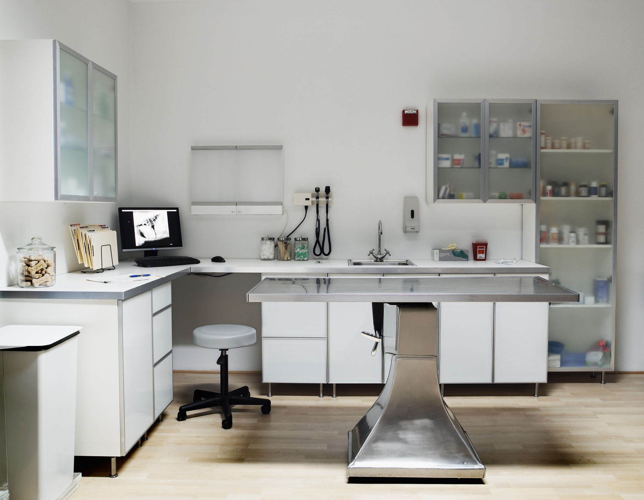 Veterinary Clinics