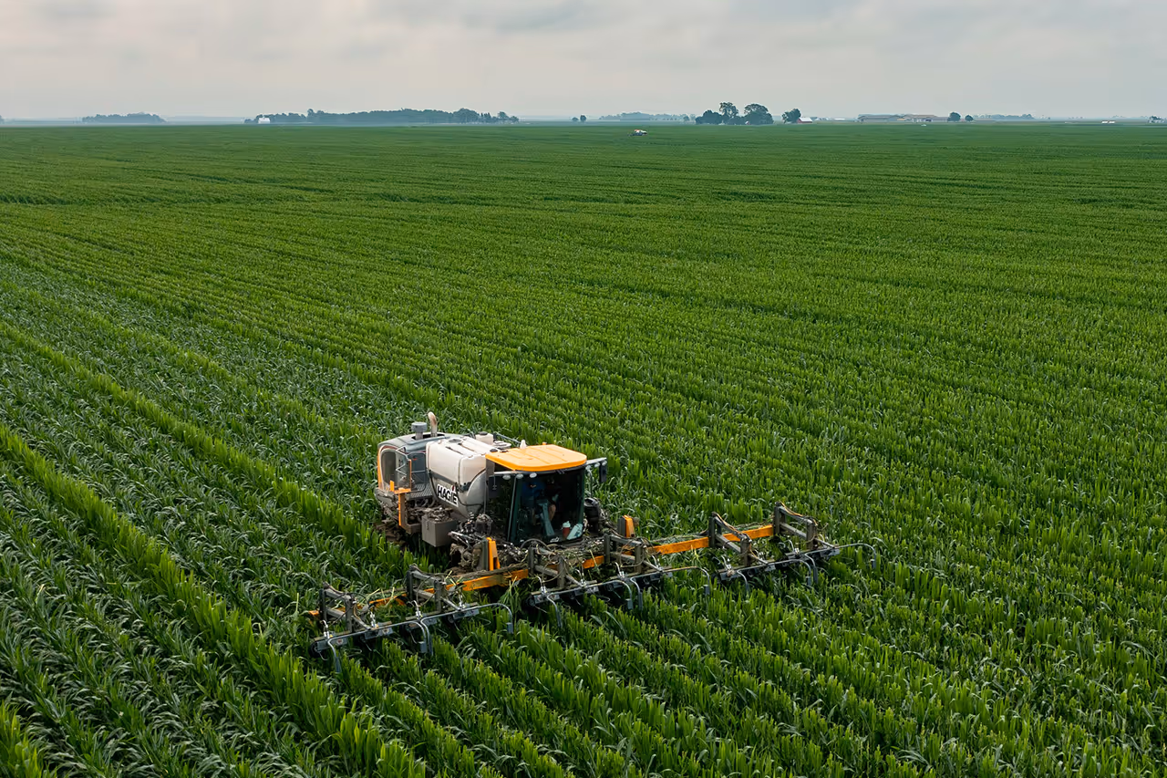 Landwirtschaftliche Sprühmaschine bei der Arbeit auf einem grünen Maisfeld unter bewölktem Himmel.