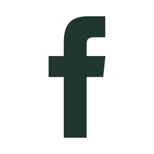 FaceBook icon