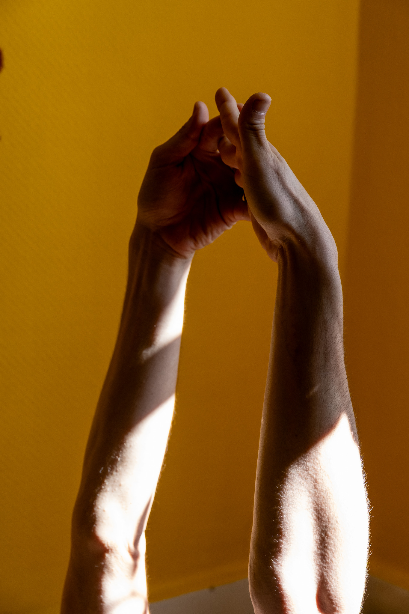 [background image] yoga studio interior