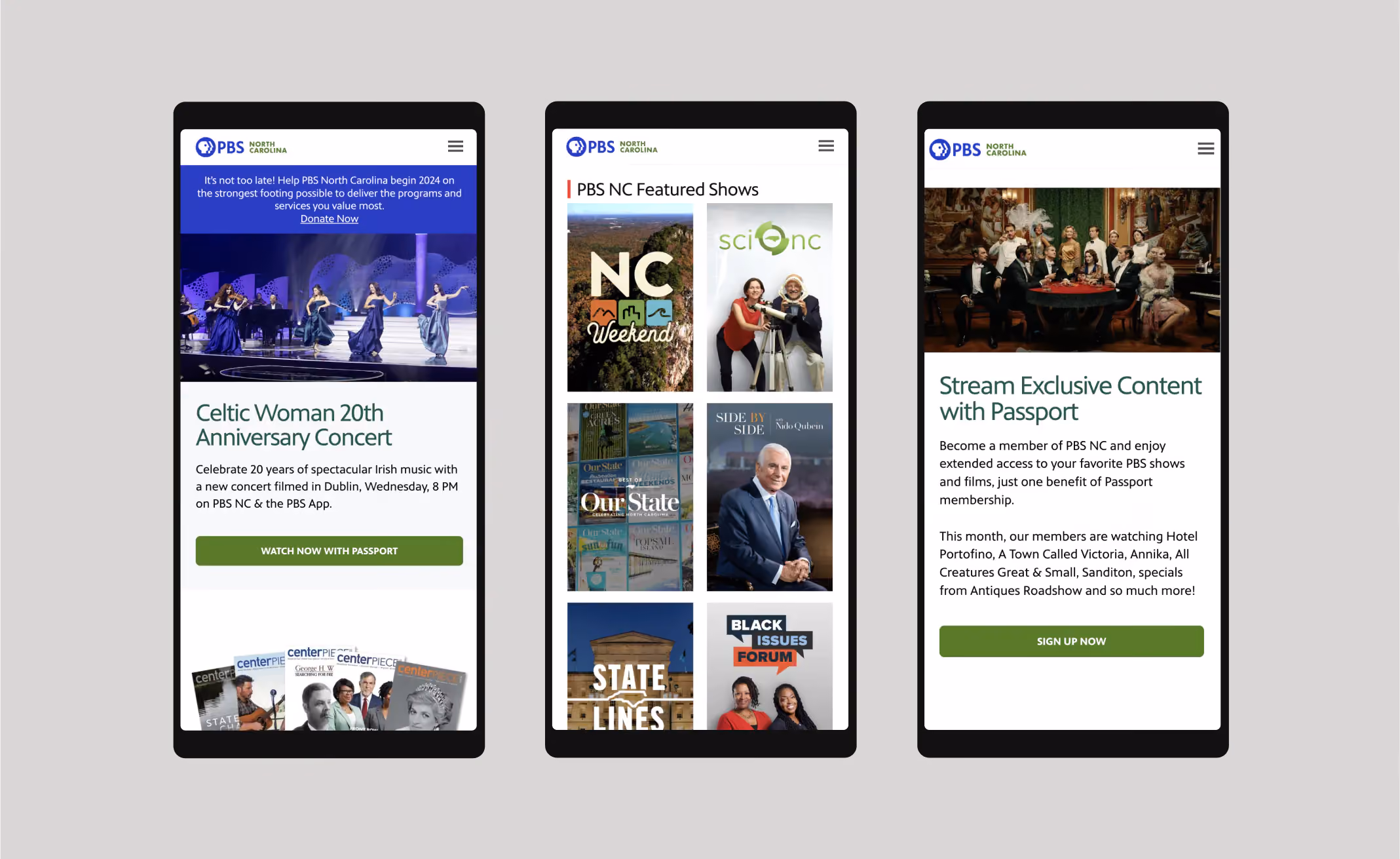 PBS - North Carolina website design, screen 4 of 6