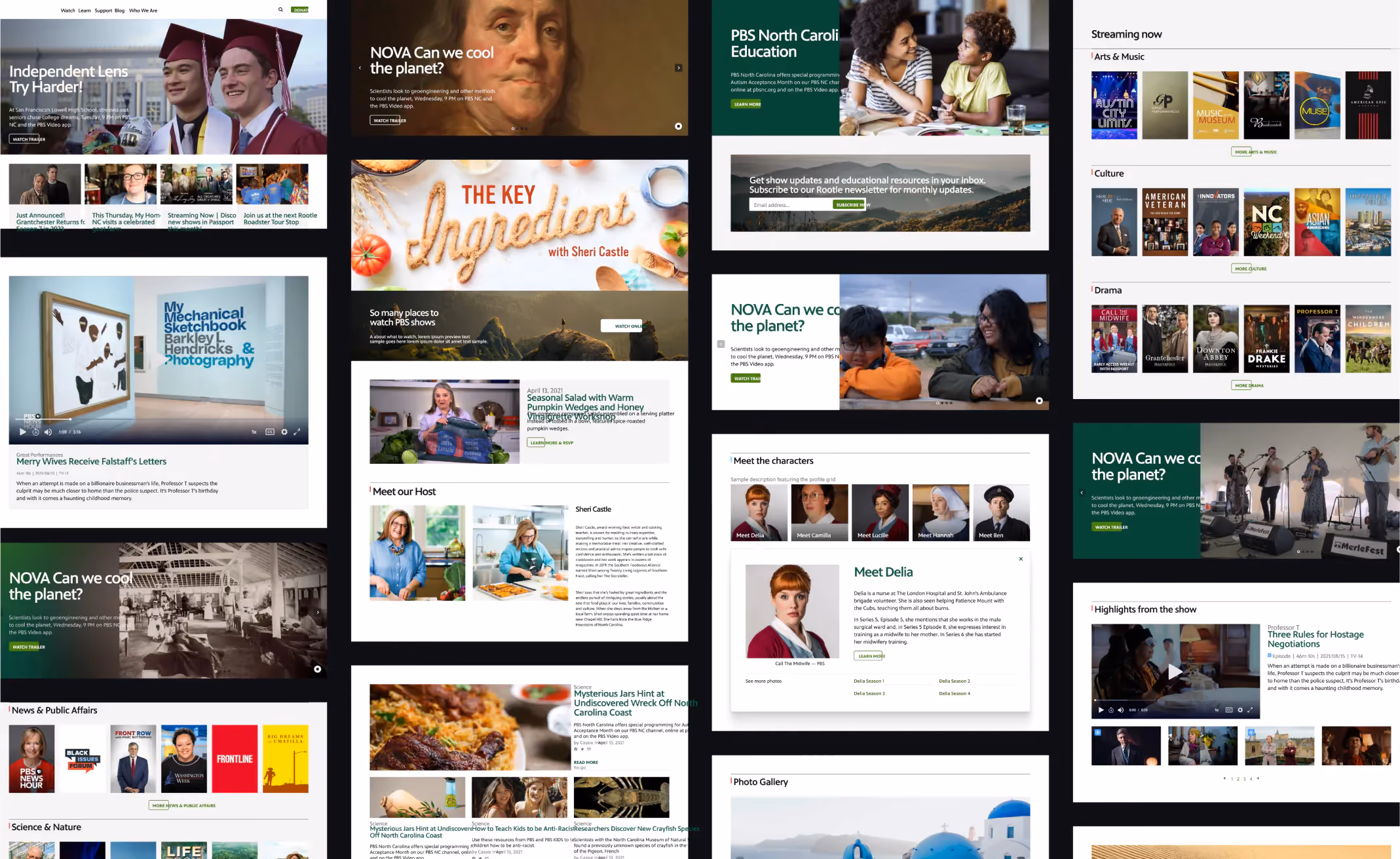 PBS - North Carolina website design, screen 3 of 6