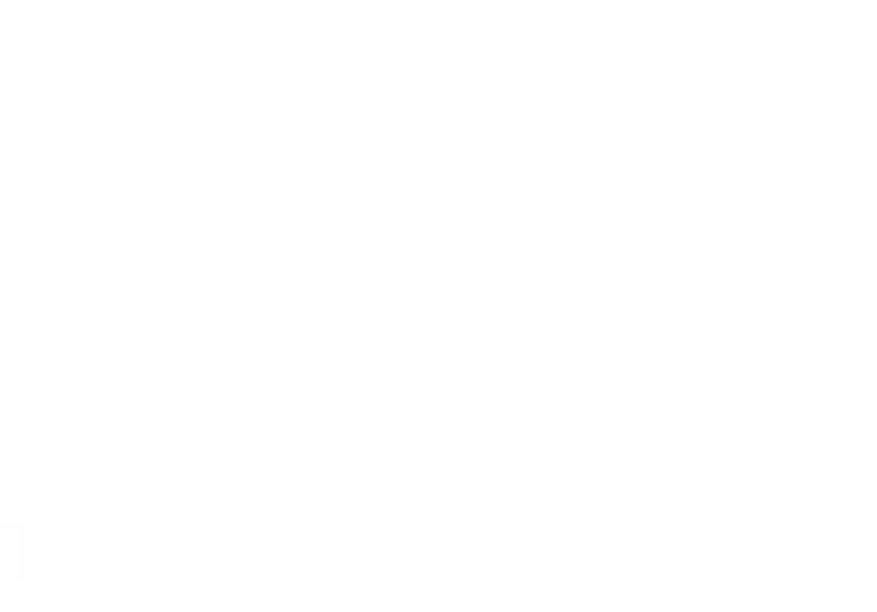 LungeLiga Logo
