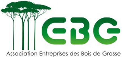 OE logo
