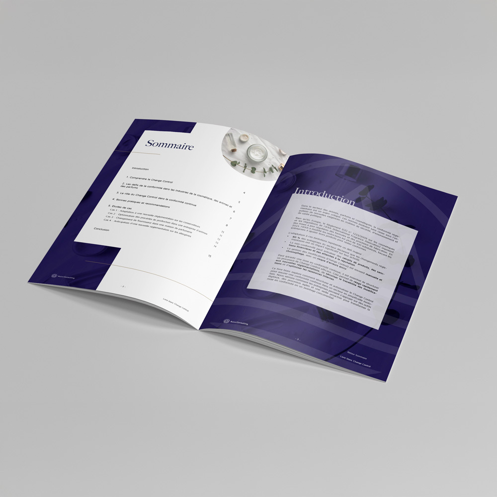 Livre blanc Change Control ouvert sur le sommaire et l’introduction