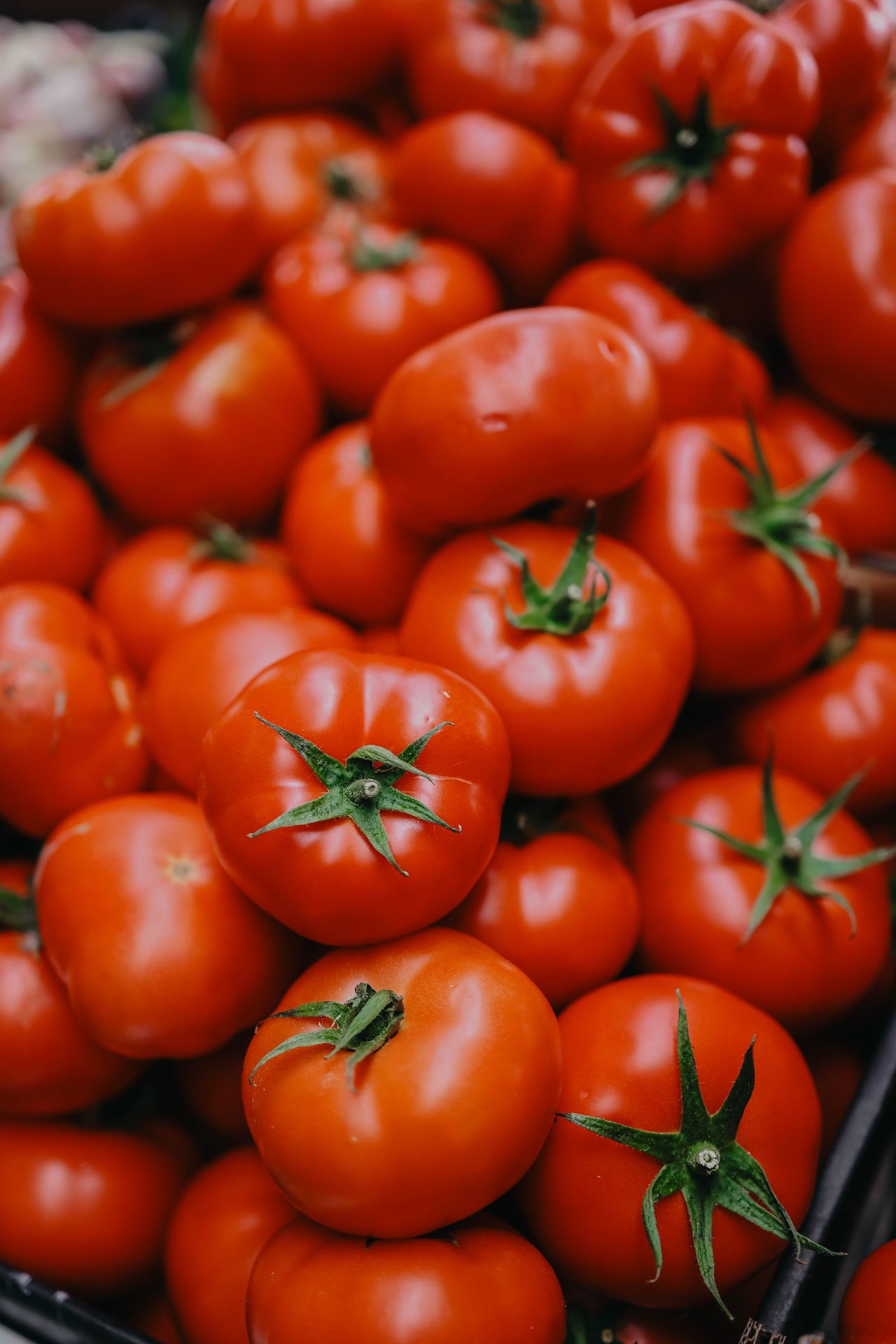 Production agroalimentaire