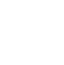 Dirt-Wies Marienau e.V. Logo