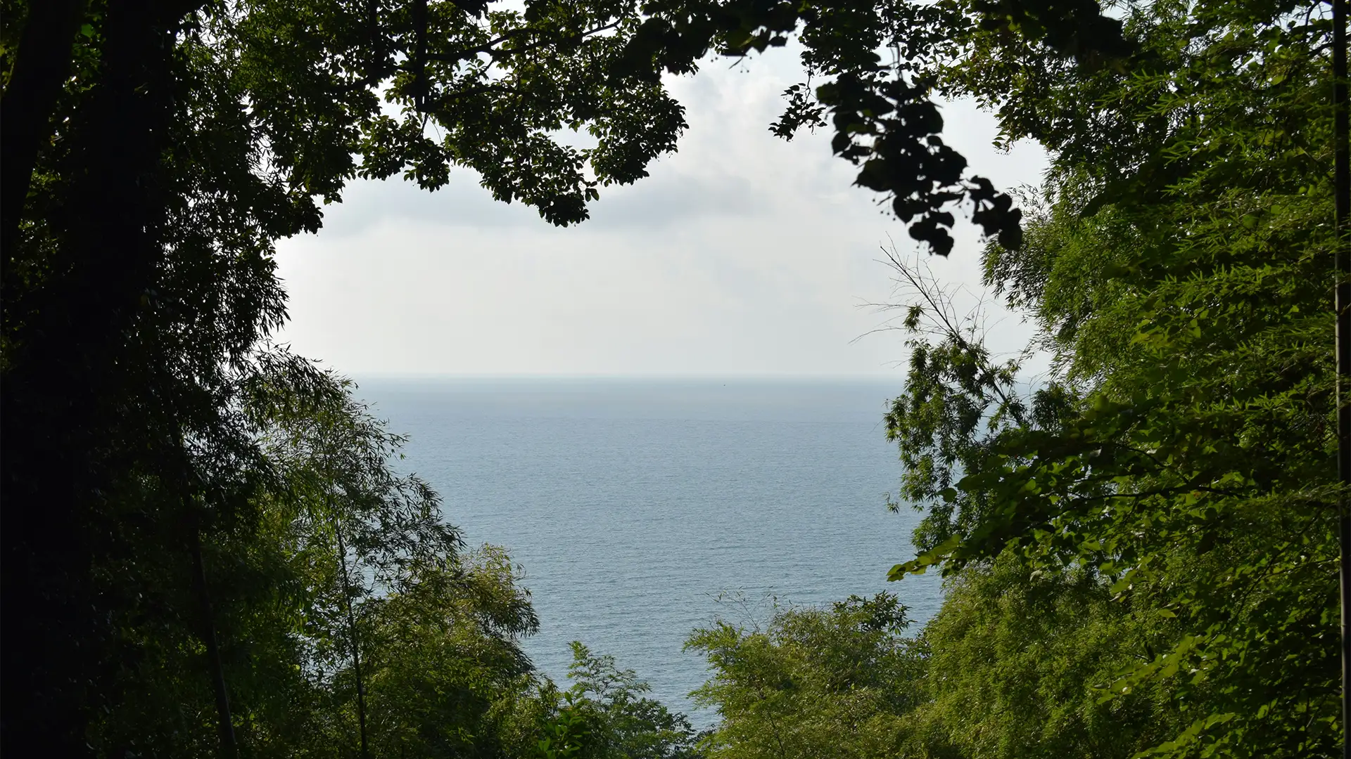 Vue aérienne d’une calanque méditerranéenne, visuel du projet Meditalents.