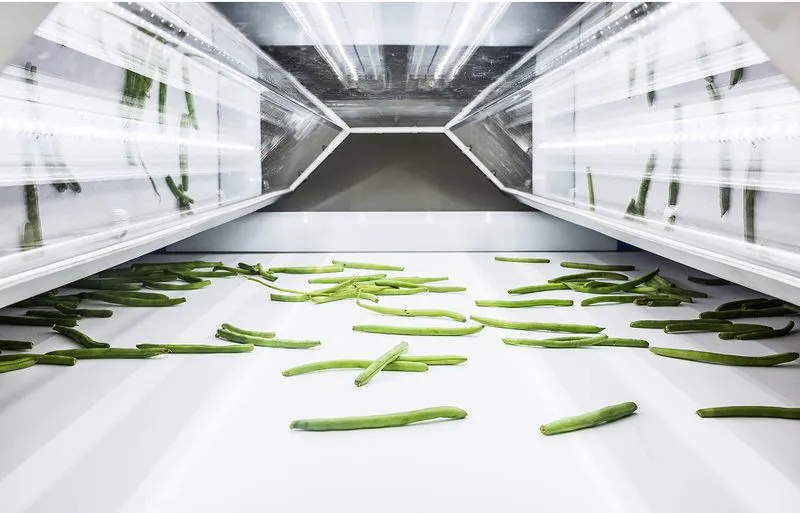 Green Bean Optical Sorting