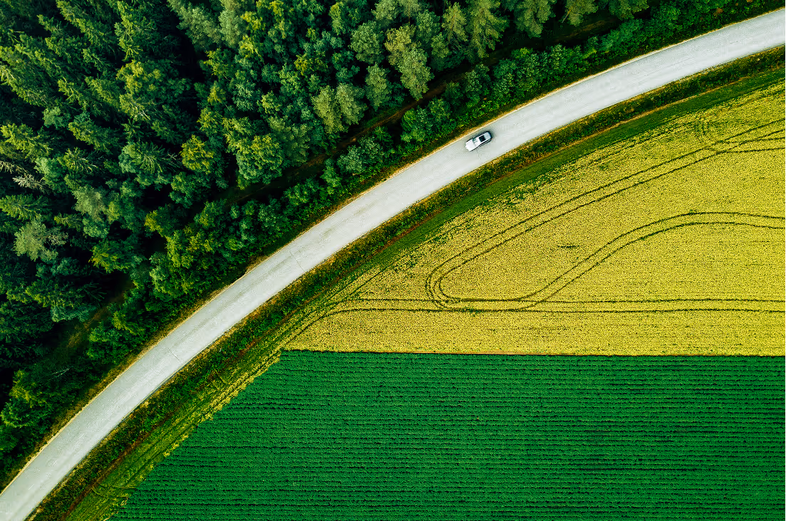 Aerial view of road going through forest