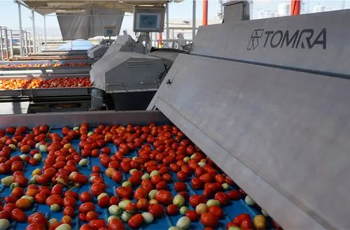 Tomra tomato processing