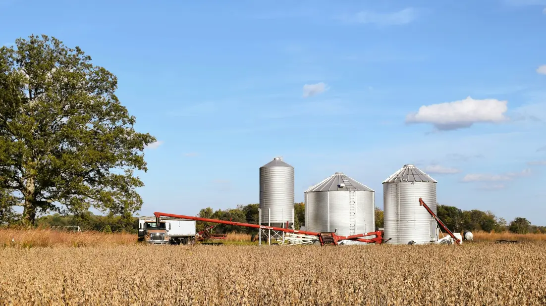 Grain silos and augers on a farm beside a crop field under blue sky, representing agricultural storage and harvest infrastructure efficiency.