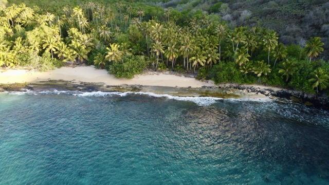 Exploring Bocas del Toro