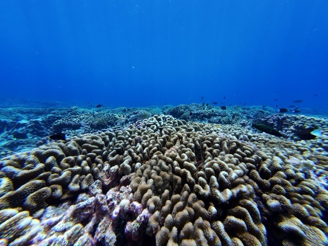 Curaçao, Bonaire and Aruba