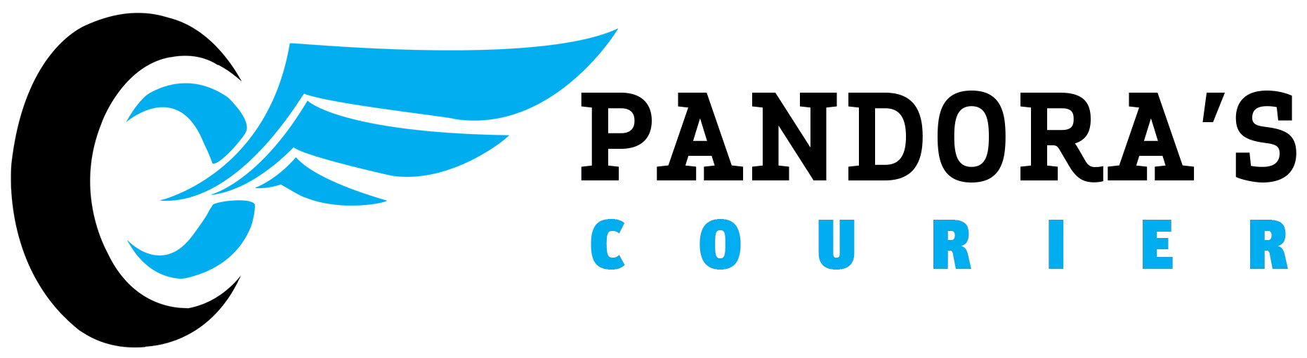 Speedy Parcel Courier logo with a blue and black color scheme featuring a stylized parcel graphic.