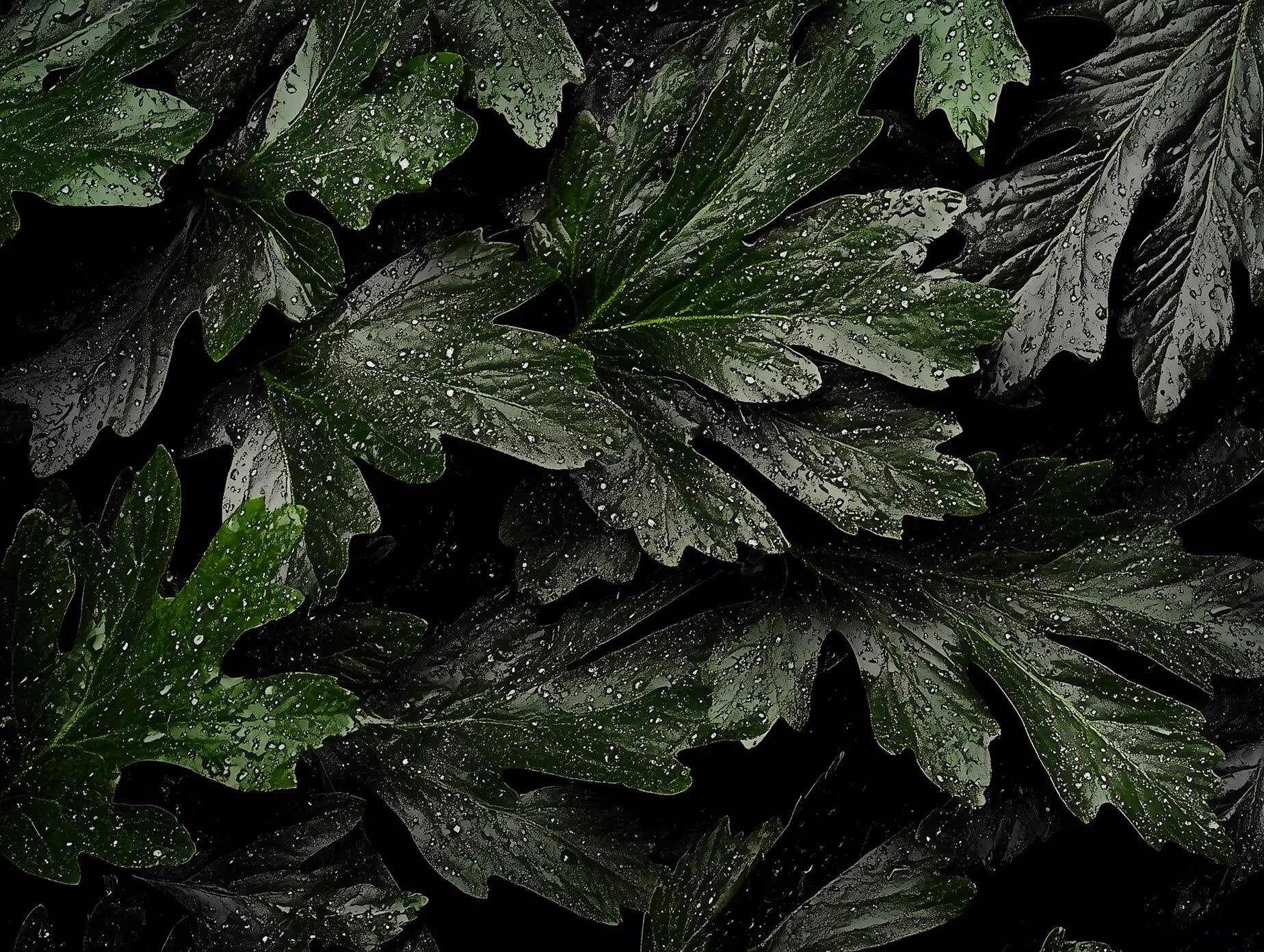 property management Background6