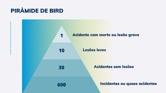 pirâmide de bird