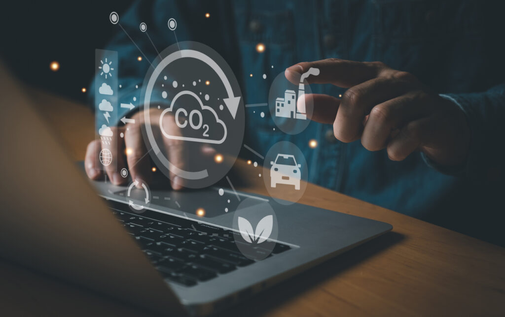 Existem diversas variedades de biocombustíveis, muitas delas derivadas de vegetais amplamente reconhecidos.