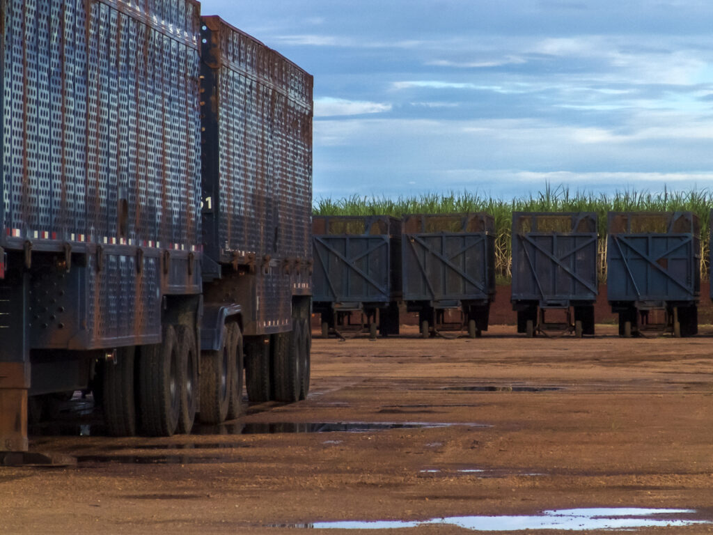 O transporte de cana é uma etapa da cadeia produtiva do setor sucroenergético.