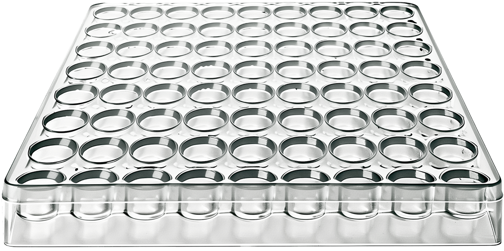 Transparent 96-well microplate used for laboratory sample storage and analysis.