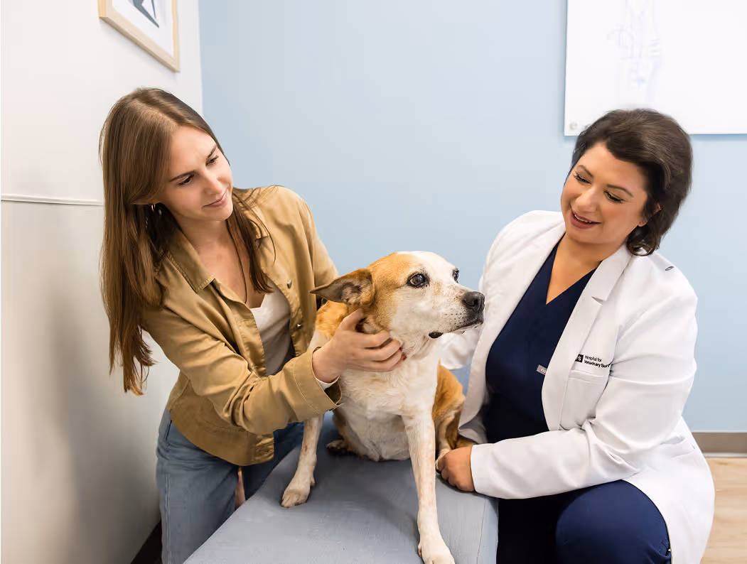 Dedication to Surgical Patients