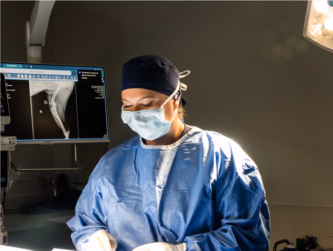 Serving as an Extension of Your Team