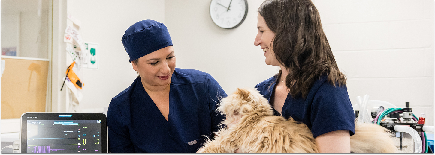 doctor and tech examining a cat