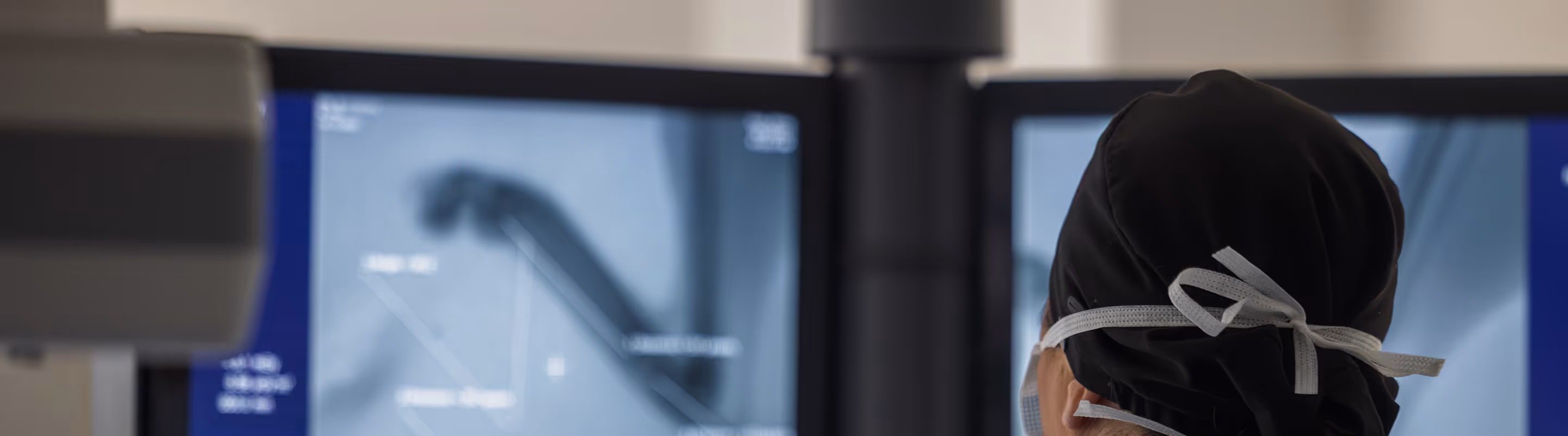 veterinary surgeon reviewing images