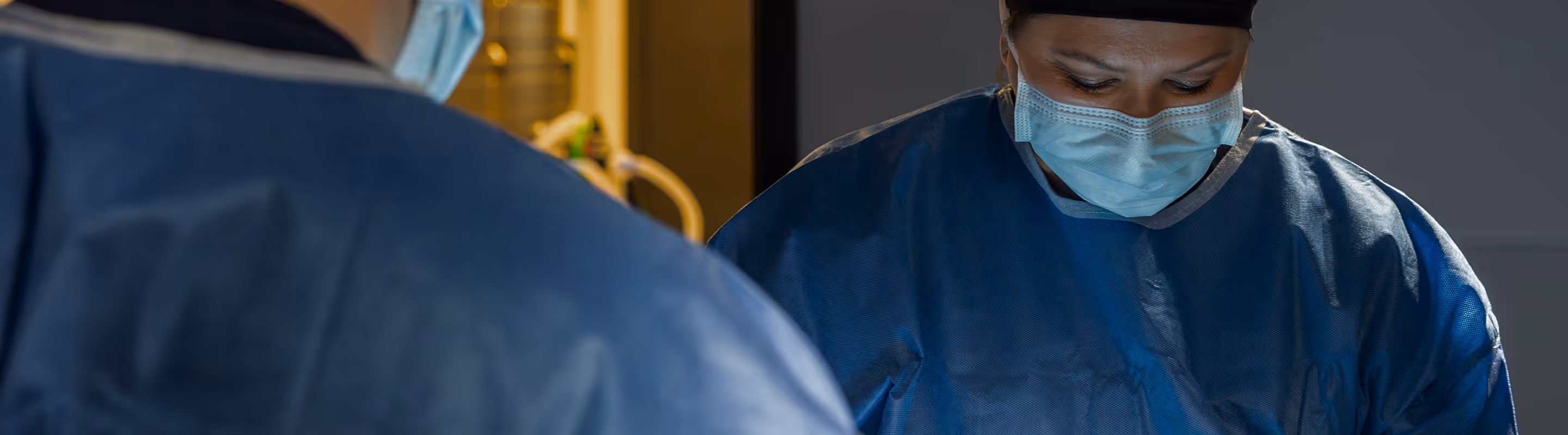 veterinary surgeon performing surgery